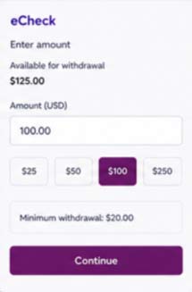 eCheck enter amount
